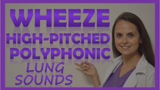 Wheezes Lung Sounds High Pitched Polyphonic Wheeze Sibilant Wheeze Rhonchi Abnormal Breath Sounds [upl. by Monique]