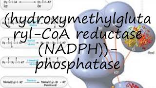 How to pronounce hydroxymethylglutarylCoA reductase NADPHphosphatase [upl. by Dirgis658]