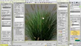 GrowFX 198 SP3 Creating Grass 3 Pennisetum orientalis [upl. by Chase255]