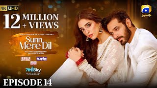 Sunn Mere Dil EP 14 Eng Sub Digitally Presented by LUX  Happilac Paints and Ujooba Beauty Cream [upl. by Wilmette462]