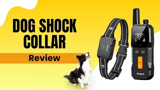 Hawpet Dog Shock Collar Effective Training  Review [upl. by Aseram]