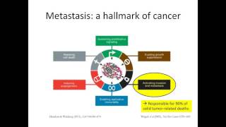 Nicholas Kurniawan  Understanding Cancer  Cell–matrix interactions and the 3D cell migration [upl. by Ollopa]