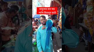 মানুষের মতো বড় পাখি মিরপুর হাটে  পাখি  Pakhi  মিরপুর ১ পাখির হাট  টিয়া পাখি  Tiya Pakhi short [upl. by Eugatnom]