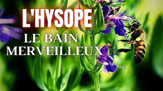 💥💥 Le bain de purification HYSOPE  Guide kamael shem [upl. by Icrad]