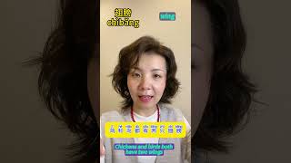 HSK Level 5 Vocabulary with Example ChineseEnglish｜尺子；翅膀；充电器hsklearnchinese英会話studychinese [upl. by Audrye]