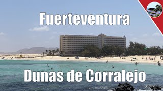 Fuerteventura  Dünen von Corralejo Ein magischer Ort mit einer faszinierenden Küstenlandschaft [upl. by Anailuy]