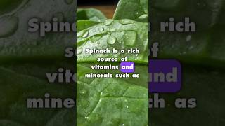 SPINACH Holds The Secret To AMAZING Health [upl. by Htebyram]