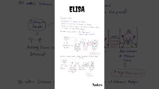 ELISA  ELISA Test  Enzyme linked immunosorbent assay  Types of ELISA  Direct and Indirect ELISA [upl. by Tahp66]