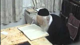 Rabbi Moreinu Ha Rav Elyashiv Shtaigging  Learning  Rare Video Footage [upl. by Dnalevelc]