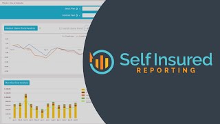 Who is Self Insured Reporting [upl. by Nelie]