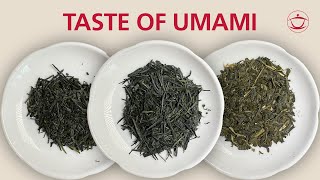 Understanding Umami A tea tasting journey [upl. by Slorac565]