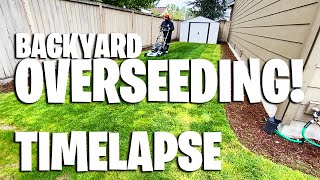 Overseeding Timelapse  Process  Backyard Overseed for the spring [upl. by Galasyn]