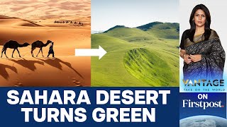 Sahara Turns Green Should we Celebrate or Worry  Vantage with Palki Sharma [upl. by Anerak]