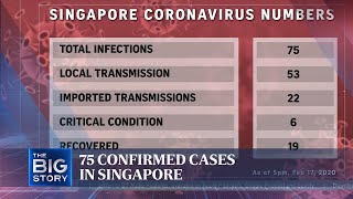 75 confirmed cases in Singapore [upl. by Lipfert]