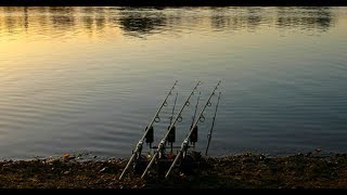 Linear Fisheries  The Number One Day Ticket Carp Water [upl. by Hannon]