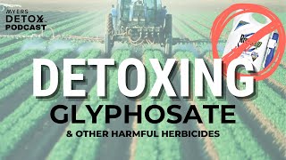 Glyphosate and How to Detox It with Dr Stephanie Seneff [upl. by Niryt]