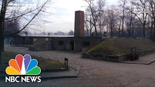 Auschwitz Survivors Return To Death Camp 75 Years Later‌  NBC Nightly News [upl. by Greyson590]