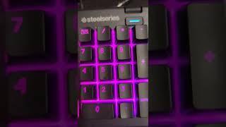 SteelSeries Apex 3 RGB Gaming Keyboard Review [upl. by Ybok]