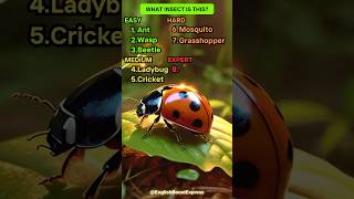 How Many Insects Can You Name Test Yourself englishlearning english [upl. by Atiker]