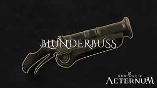 Blunderbuss Abilities New World Aeternum [upl. by Ari]