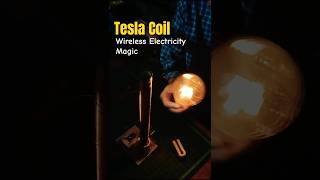 Testing Tesla Coil experiment High frequency Science Project tesla scienceproject experiment [upl. by Pincas]