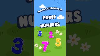 Prime Numbers Up to 1000 🔢  Learn and Master the Basics 🌟  wowsir maths [upl. by Eyma]