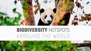 Tourism  Biodiversity HotSpots Arround the World [upl. by Sahc]