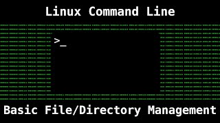 Linux Command Line Basics  File and Directory Management [upl. by Fridell929]