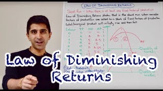 Y2 1 Law of Diminishing Returns [upl. by Nylissej]