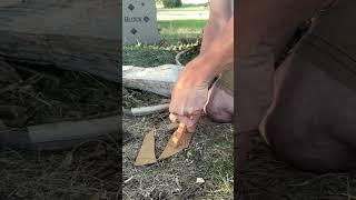 Quick 1 Minute Fire  Reiff Knives Circadian fire bushcraft edc edcknife shorts [upl. by Caria]