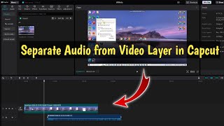 How to Separate Audio from Video Layer in Capcut [upl. by Annawad]