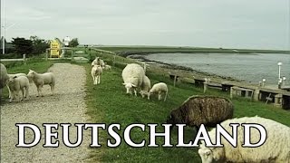 Deutschlands Nordseeinseln  Reisebericht [upl. by Travers754]