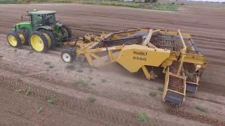 Utilize Potato Windrowers to Maximize Harvesting Efficiency [upl. by Oniluap]