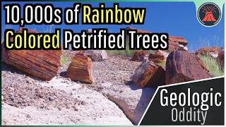 The Geologic Oddity in Arizona Petrified Forest National Park [upl. by Ellenar305]