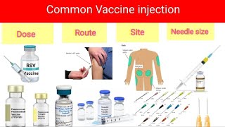 Common vaccines DoseRoutesite and Needle sizeInjection siteOral administrationvaccines [upl. by Ronnica]