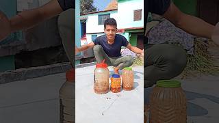 Itane Sare Aanwale Ka Aachar 😋 uttarakhand minivlog village vlog shorts [upl. by Ylrahc179]