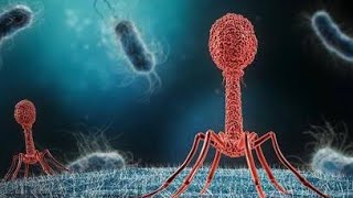 Mechanism of DNA Transfer in Bacteria biology neet [upl. by Essined]