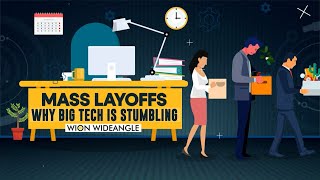 WION Wideangle  Mass layoffs Why big tech is stumbling [upl. by Estey211]