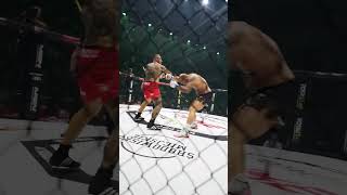 Ryta VS Zadora shorts primemma mma ryta zadora [upl. by Pierrepont]