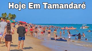 Tamandaré Pernambuco 12 De Outubro De 2024 Praias Lotadas [upl. by Annaej]