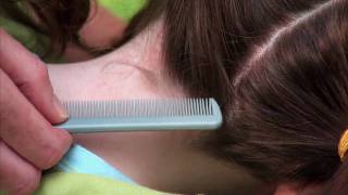 How to check your child for head lice [upl. by Rosamond]