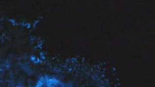 Blue glow ocean bioluminescence in Cairns [upl. by Ecnerol801]