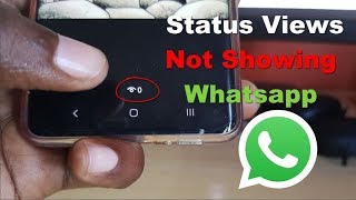 Status Views Not Showing Whatsapp Fix [upl. by Ylen880]