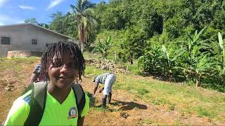 Garf Adventure JAMAICA 🇯🇲 is live On the Farm [upl. by Urien574]