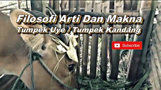 Filosofi Arti Dan Makna Tumpek Uye  Tumpek Kandang [upl. by Pratte]