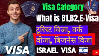 क्या होता है B1 B2 और E विजा  What is B1 B2 and EVisa  What is Visa Category [upl. by Loredana]