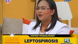 What is Leptospirosis [upl. by Procto]