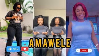 BEST Of Amawele Amapiano Dance Challenges Compilation 😱🔥🥵amapiano amapianodancechallenge [upl. by Haseefan]