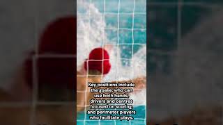 Water Polo Explained [upl. by Aible84]