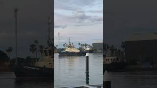 Svitzer Newton tug boat  North Harbour Hunter River Newcastle NSW Australia [upl. by Atikkin200]